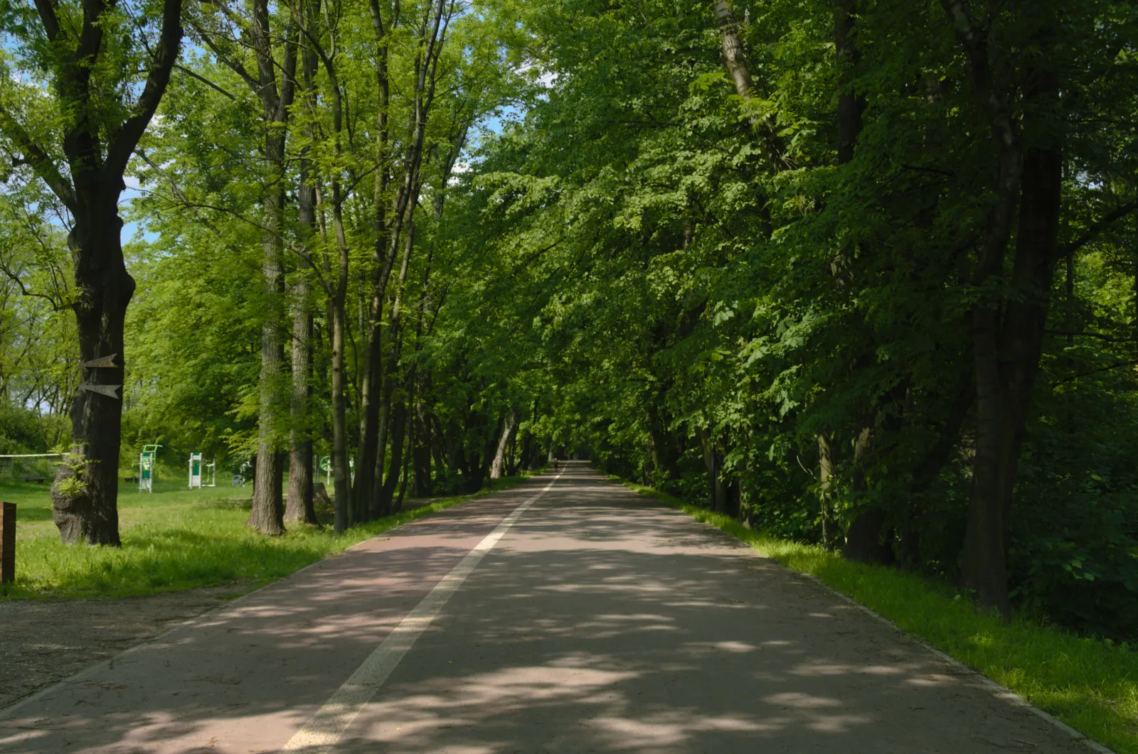 Bażantarnia