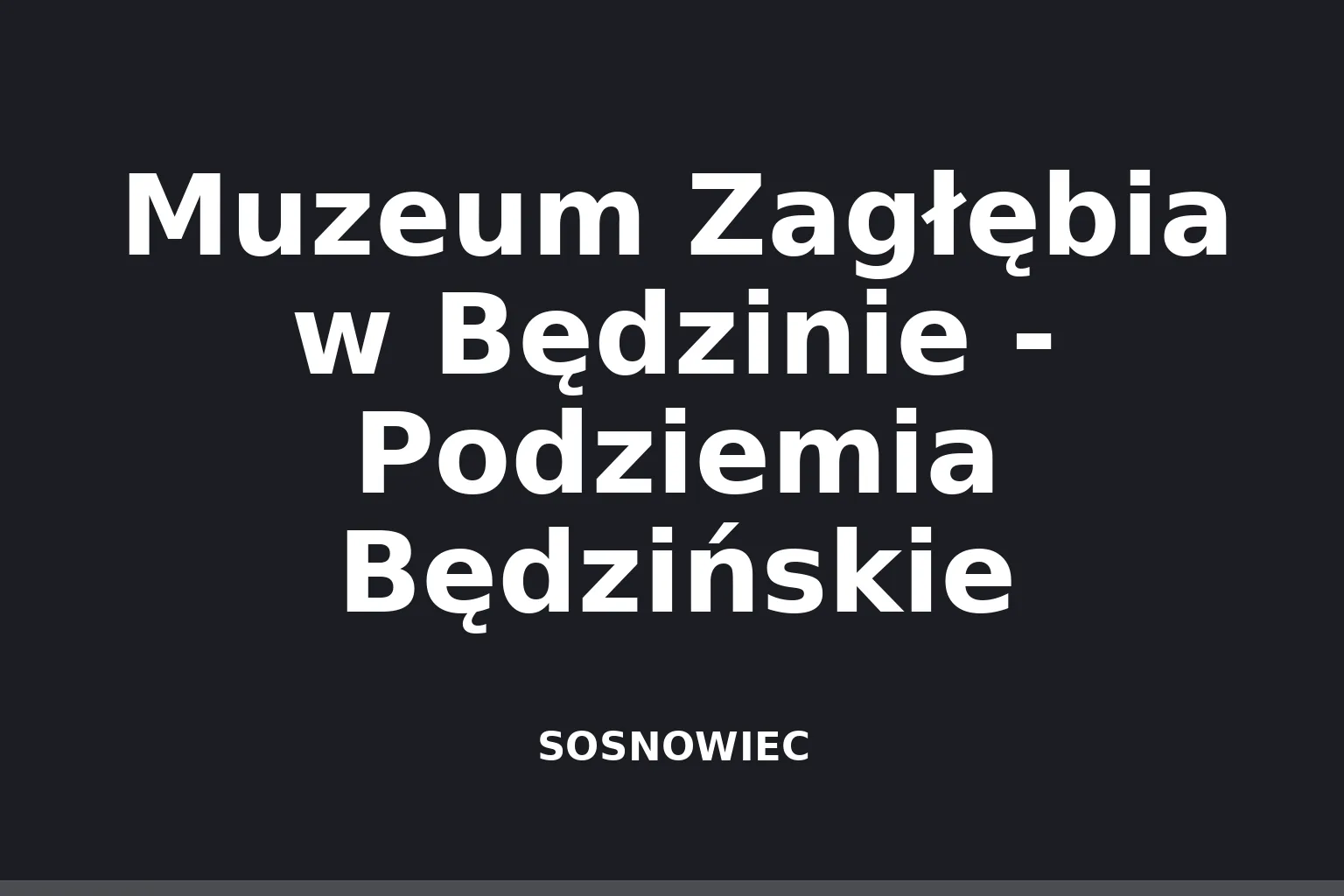 Muzeum Zagłębia w Będzinie - Podziemia Będzińskie