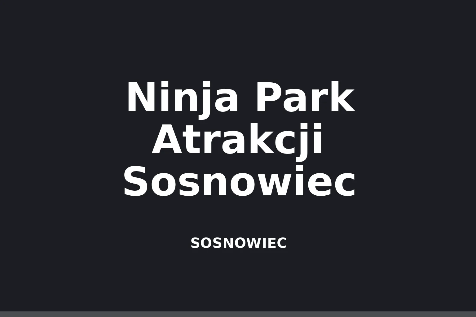 Ninja Park Atrakcji Sosnowiec